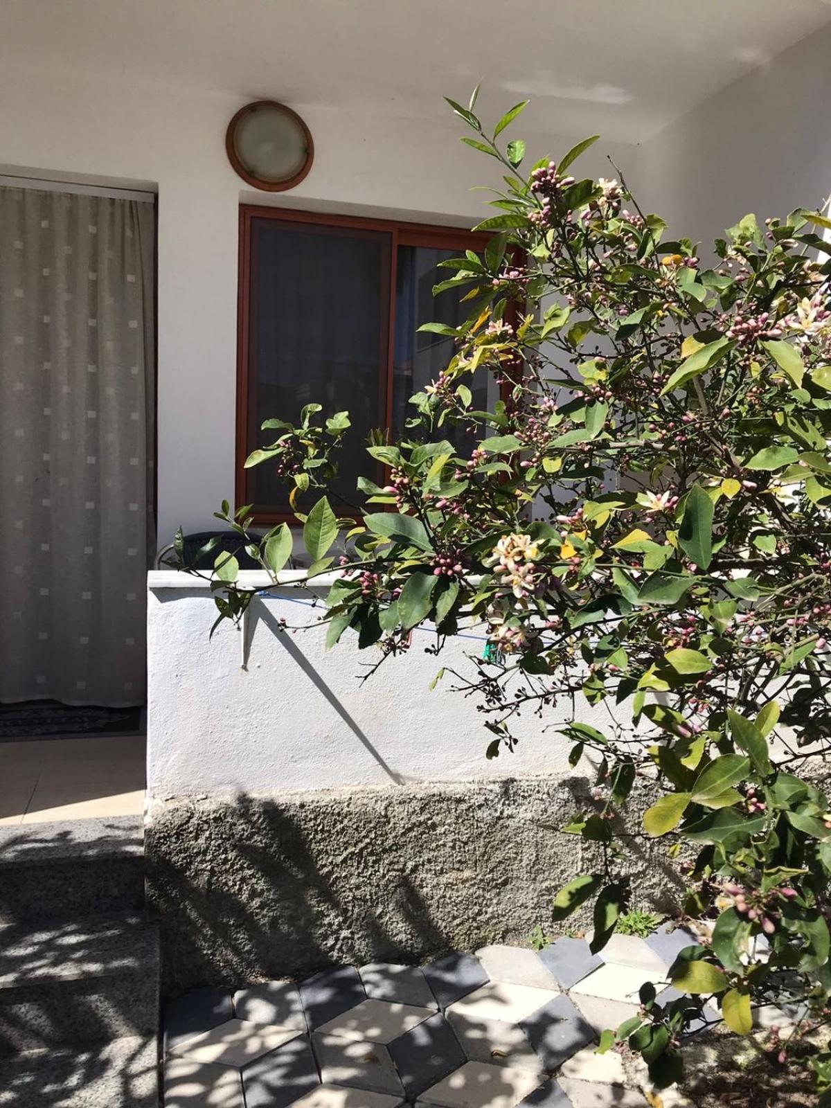 Hotel Vila Cano Durrës Esterno foto